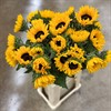 HELIANTHUS SUNRICH ORANGE 60 CM